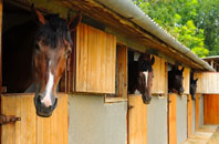 free Benfieldside stable construction quotes
